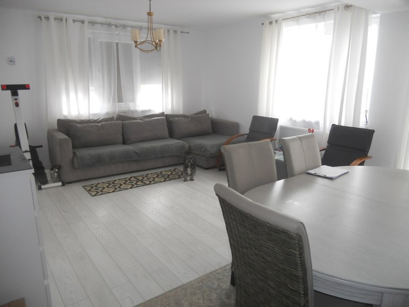 Domnesti - zona Ciutati, strada Foisorului Casa P+1, mobilata complet